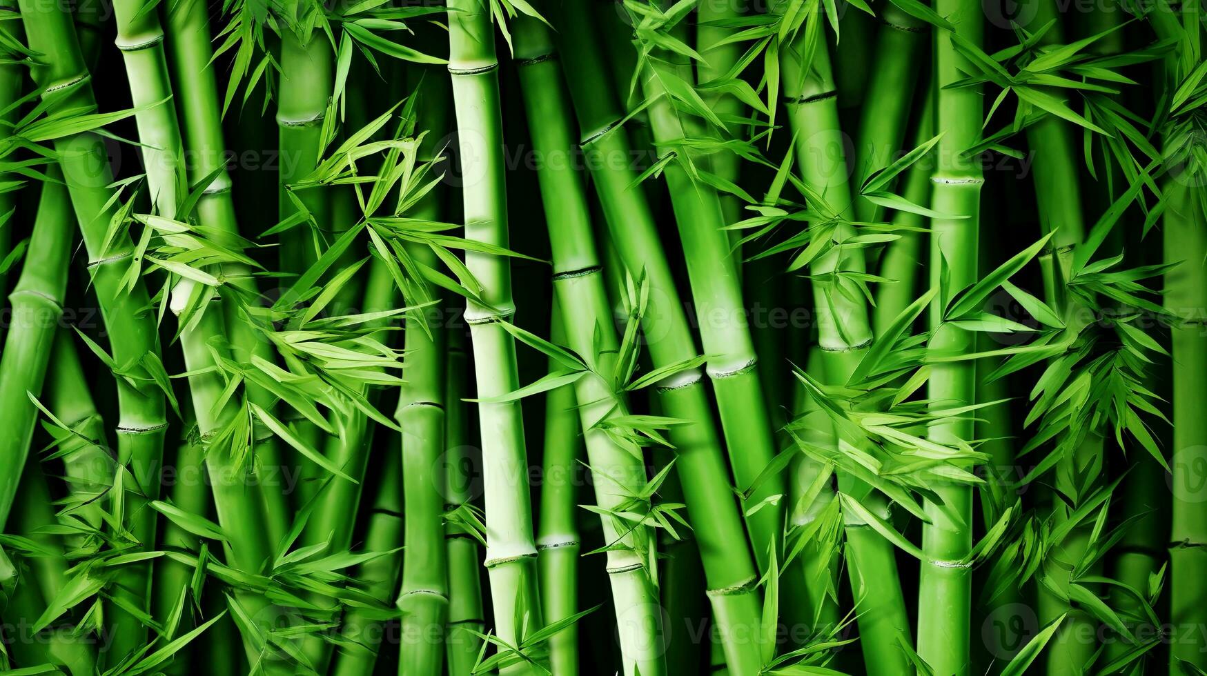 BAMBOO GREEN ( GRASS )